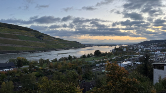 Der Blick auf den Rhein